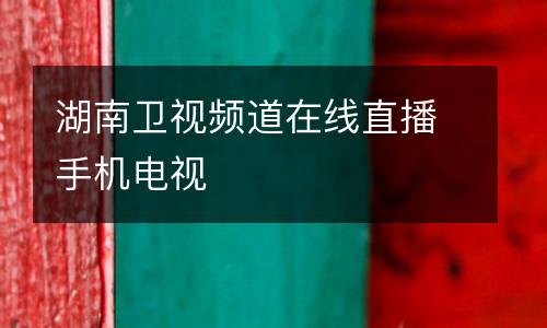 湖南衛(wèi)視頻道在線直播手機(jī)電視