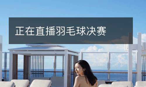 正在直播羽毛球決賽